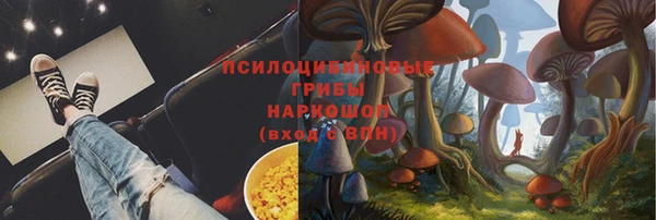 гашик Балабаново