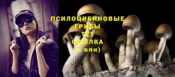 прущая мука Балахна