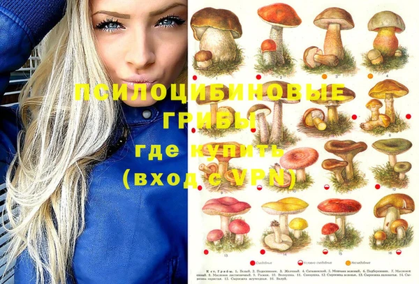 гашик Балабаново